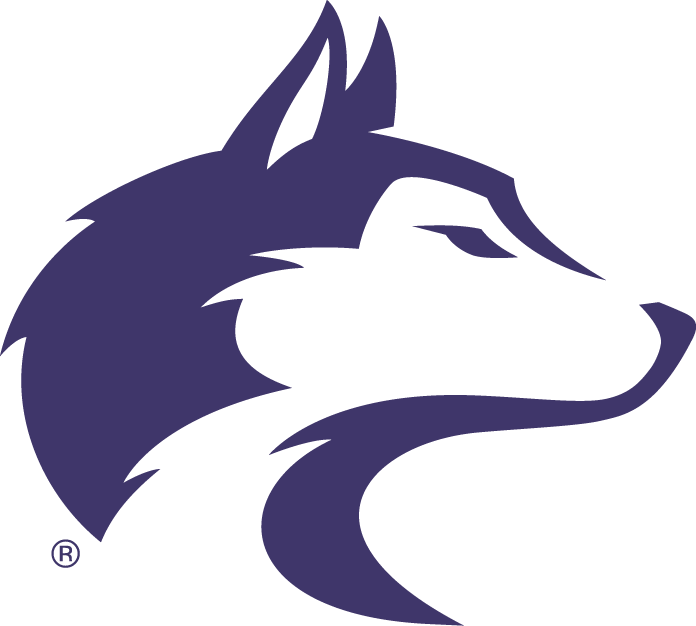 Washington Huskies 2001-2006 Primary Logo DIY iron on transfer (heat transfer)